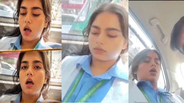Punjabi College Sexy Girl’s – Painful Car Fucking Clips