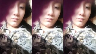 Punjabi Horny Teen Girl Boobs Pussy Fucking Mms
